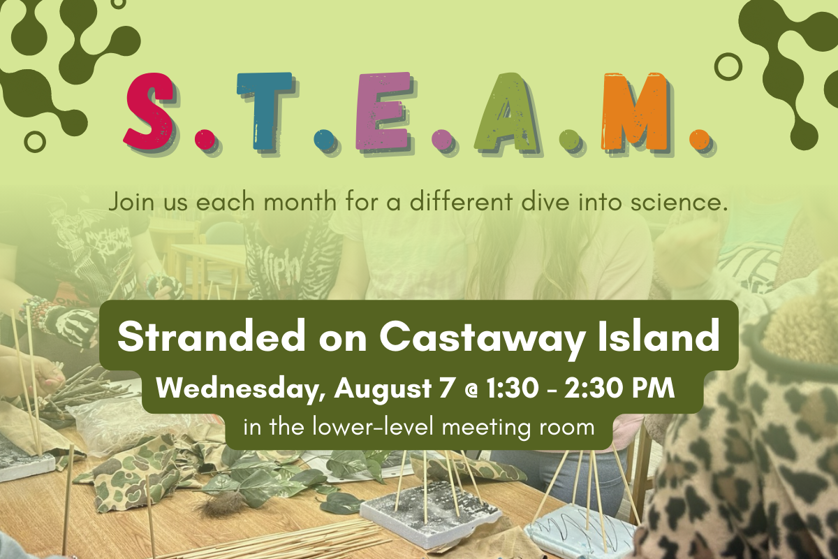 STEAM: Stranded on Castaway Island