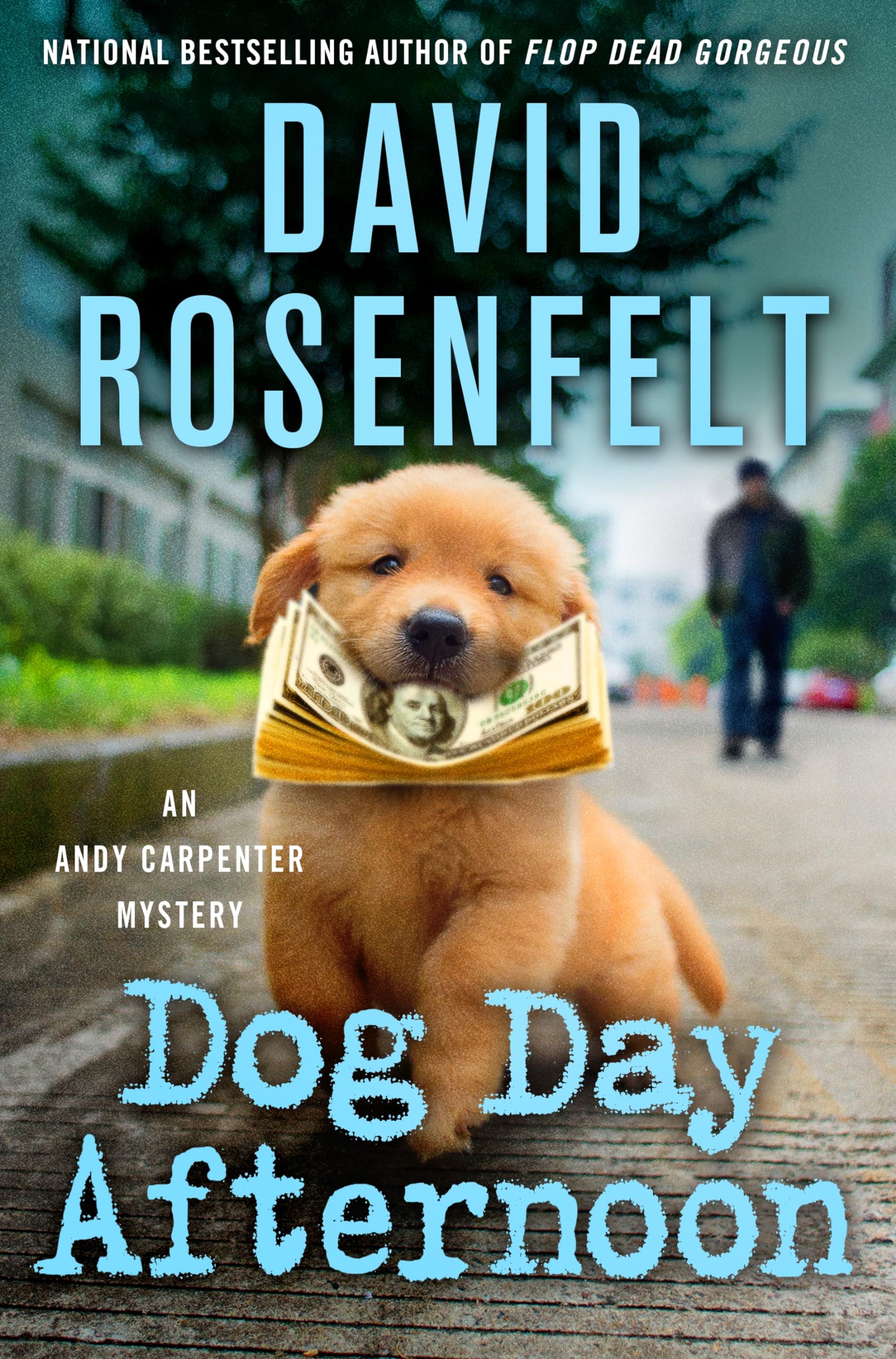 image of the cover of "dog day afternoon"