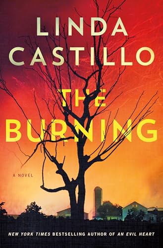 image of the cover of "the burning" by Linda Castillo