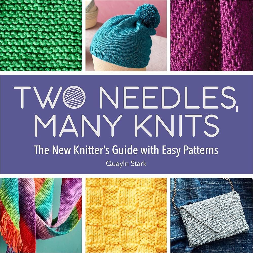 image of the cover of "two needles, many knits: the new knitter's guide with easy patterns" by quayln stark