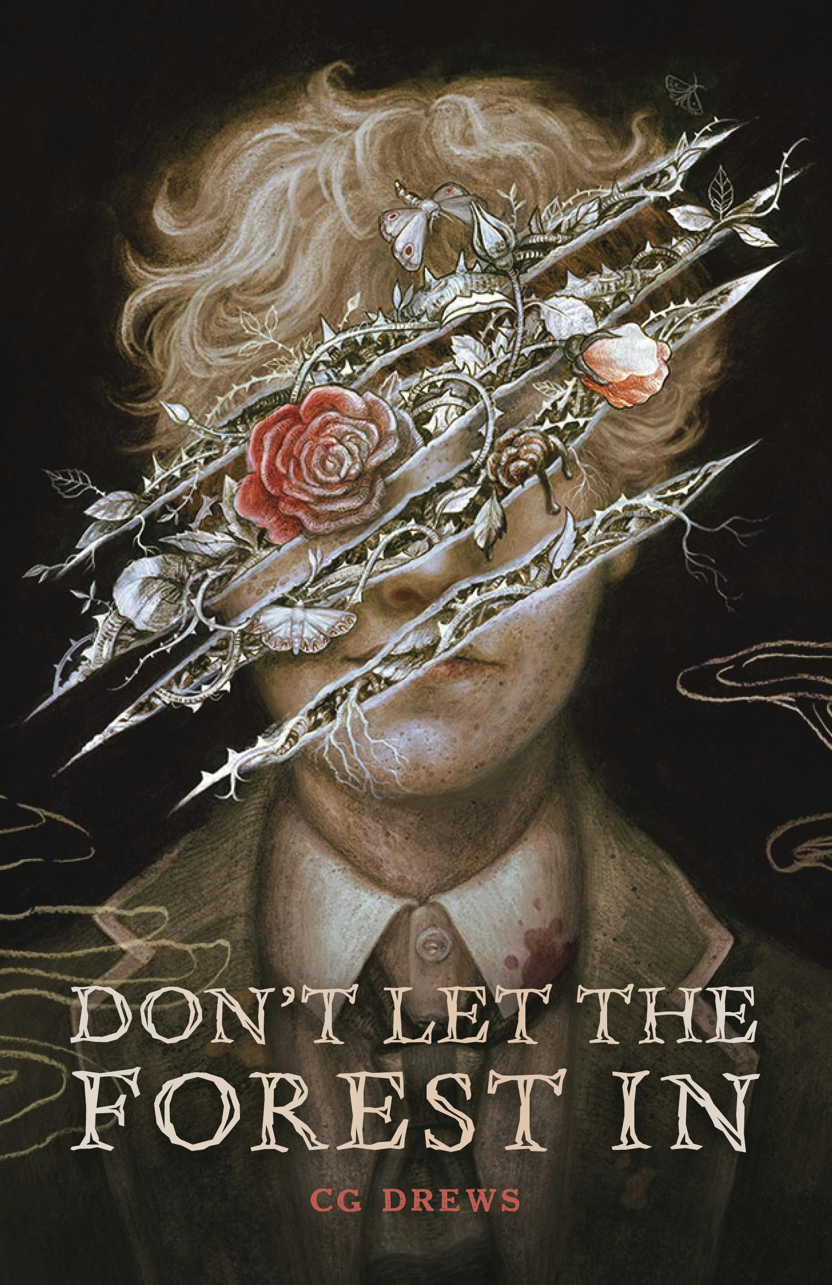 image of the cover of "don't let the forest in" by cg drews