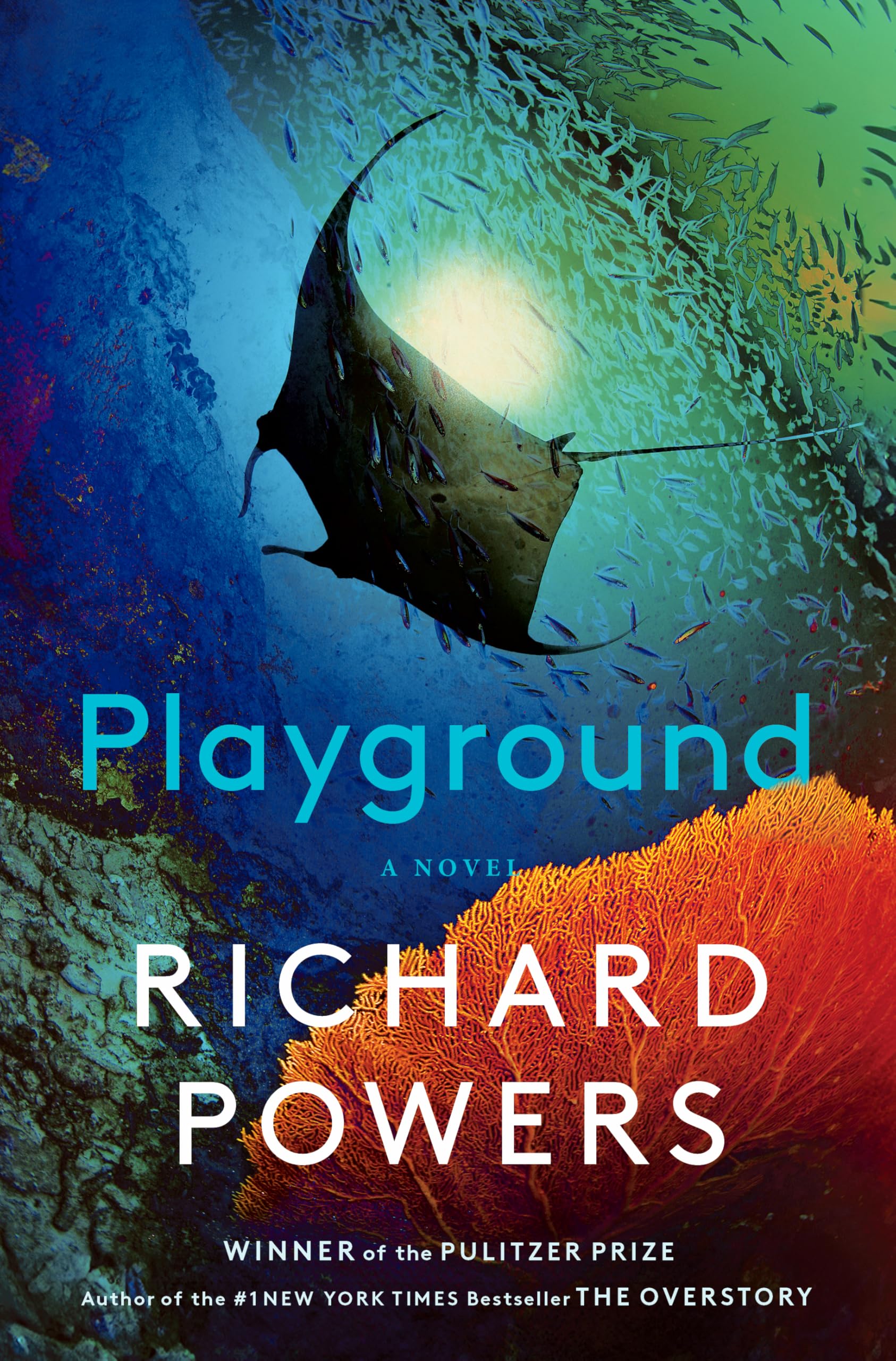 image of the cover of "playground: a novel" by richard powers