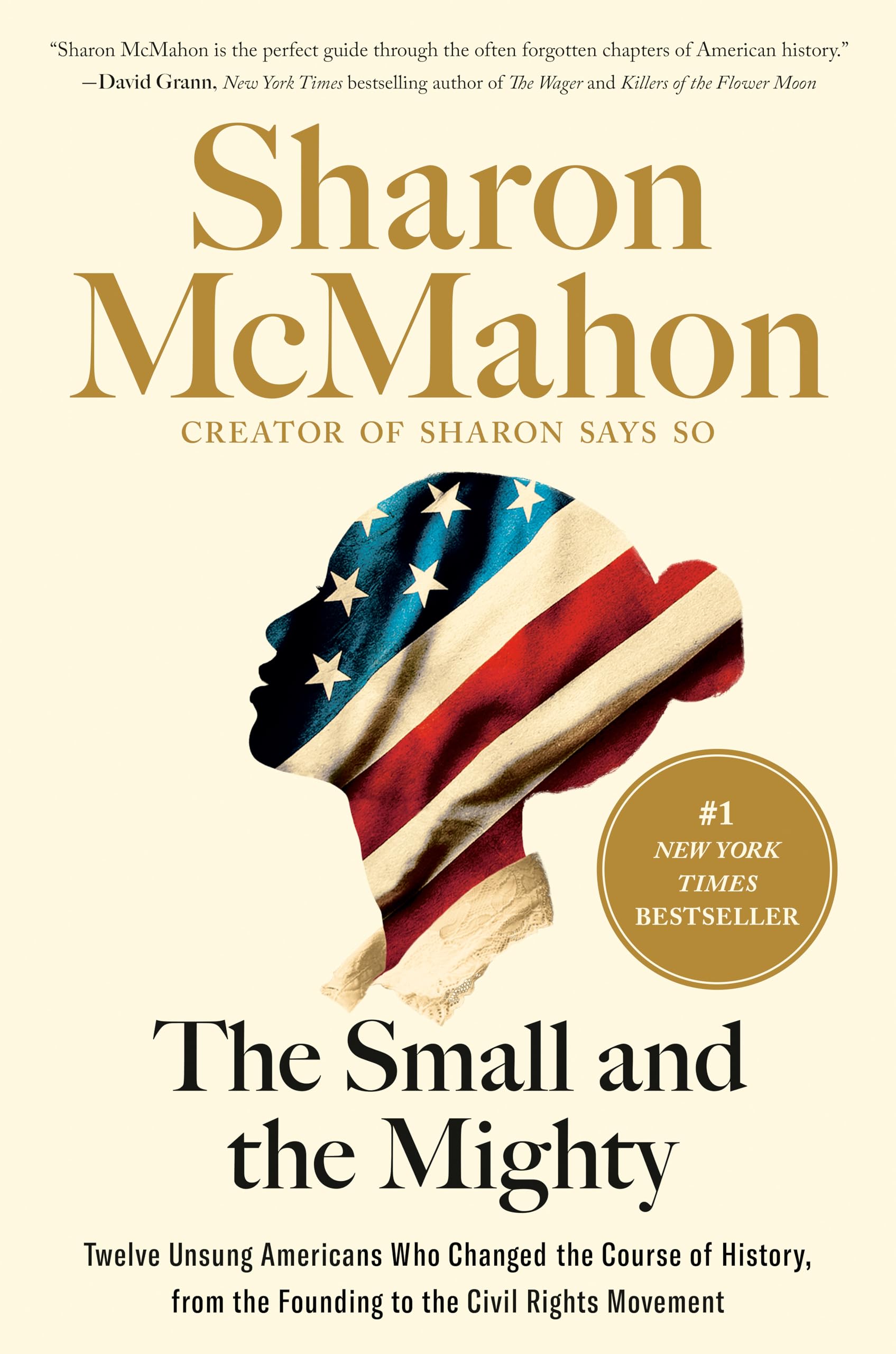 image of the cover of "the small and the mighty" by sharon mcmahon