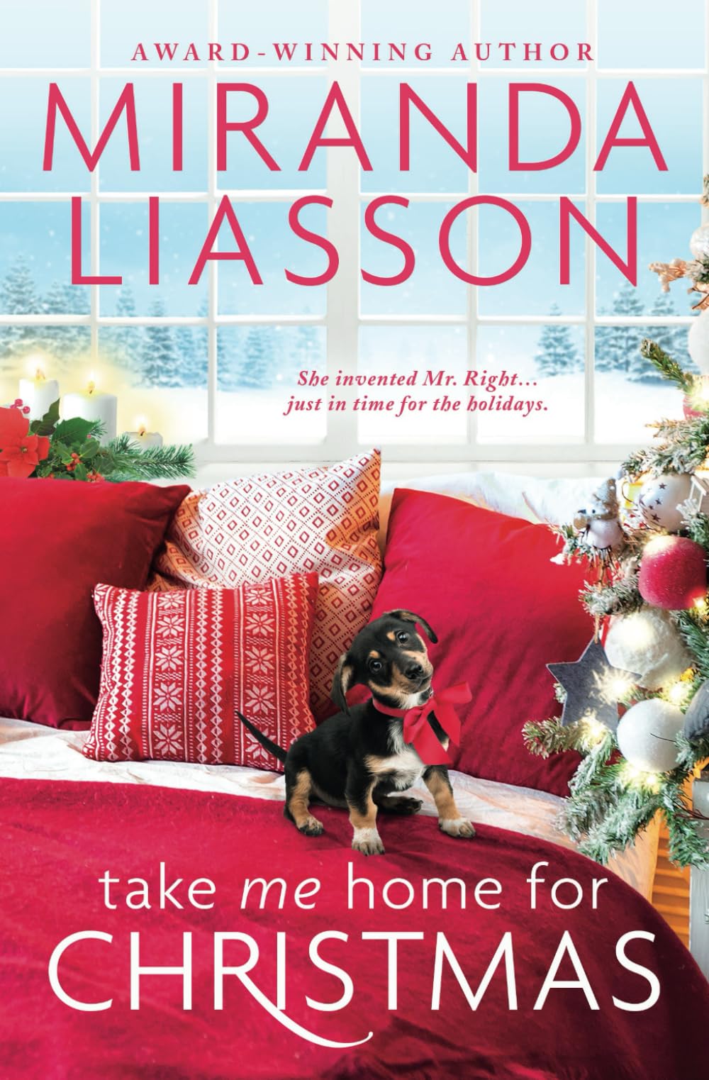 image of the cover of "take me home for christmas" by miranda liasson